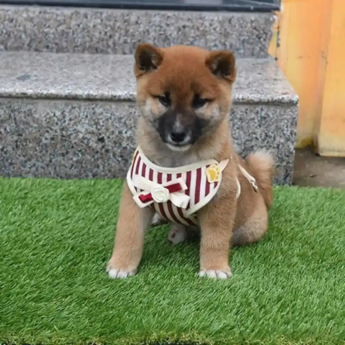 Pet Lawn Urine Mat Dog Toilet Fake Lawn Urine Mat