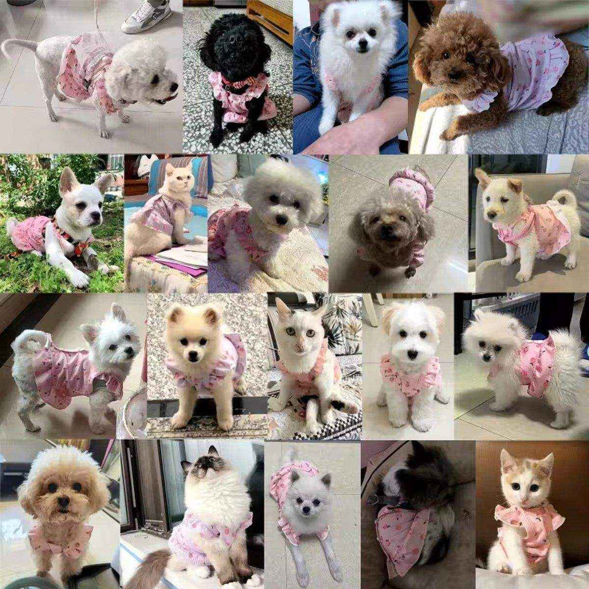 Lightweight Pet Clothes Flying Sleeve Skirt for Small Dogs Puppy Summer Vest