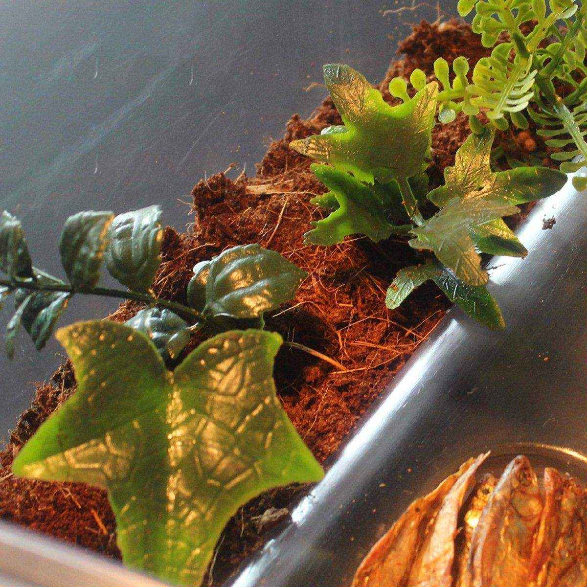 Coconut Soil Reptile Bedding