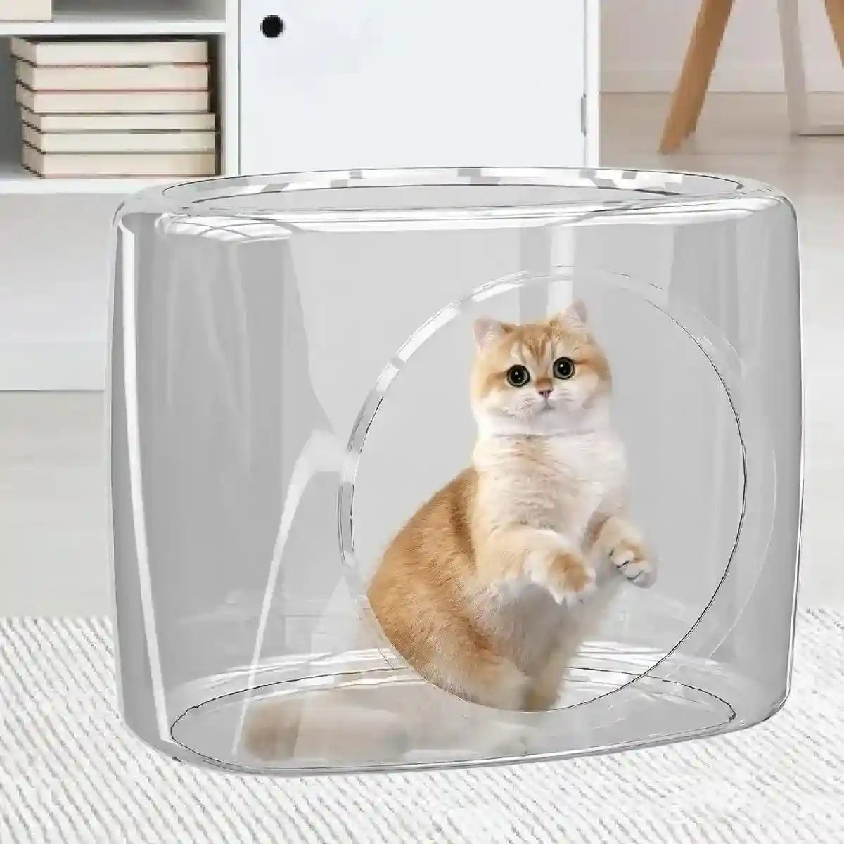Transparent Capsule Cat Litter Box Semi Enclosed Cat House for Indoor Use AU