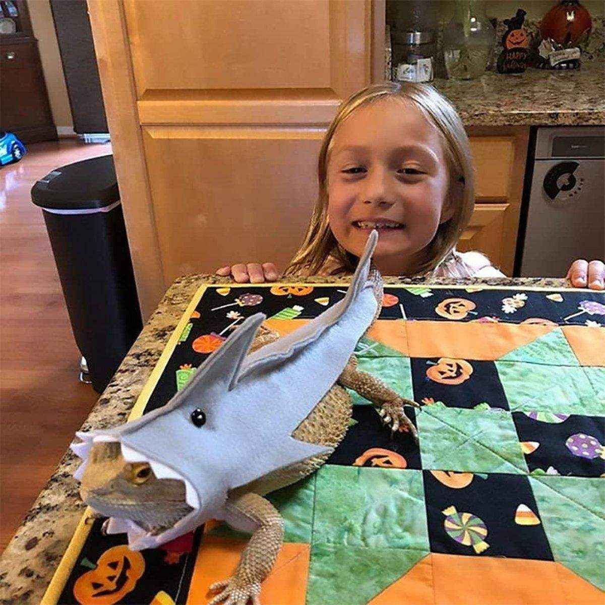 Lizard Shark Costume for Small Pets Adorable Reptile Outfit for Halloween Party