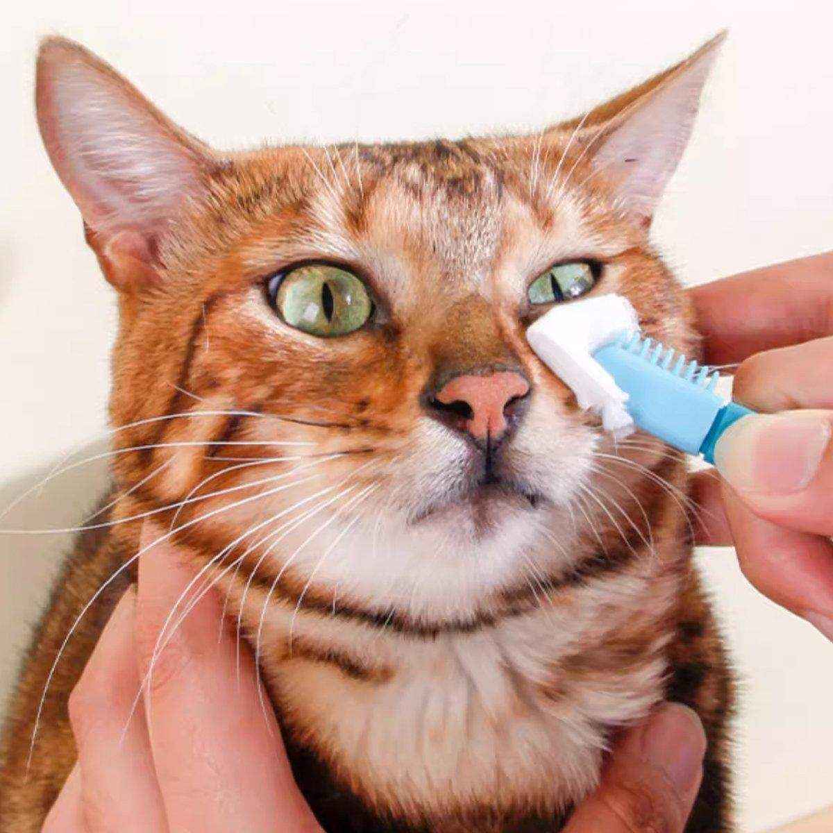 Tear Stain Remover Silicone Pet Eye Brush Grooming Tool for Cats Dogs Cleaning