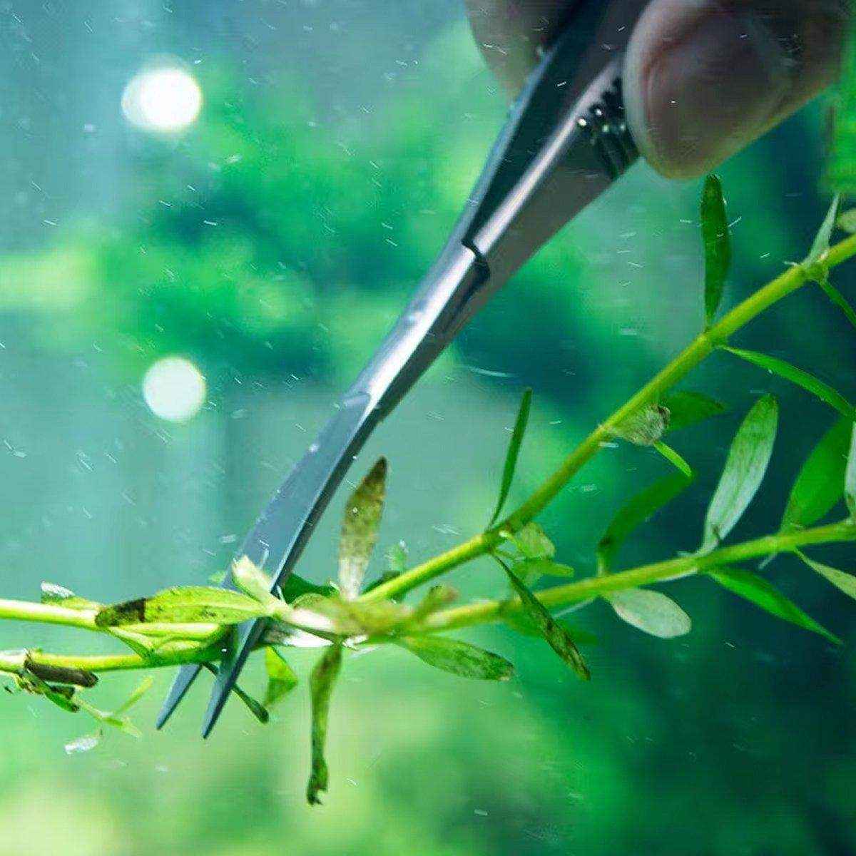 Aqua Plants Fish Tank Landscape Tools Aquarium Grass Tank Trimming Supplies Aqua Shears