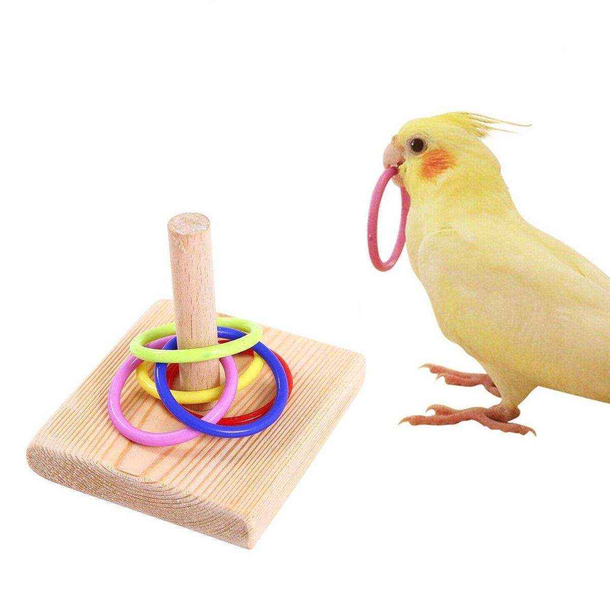 Parrot Chew Toys Interactive Bird Training Rings Set Pet Bird Intelligence Toys