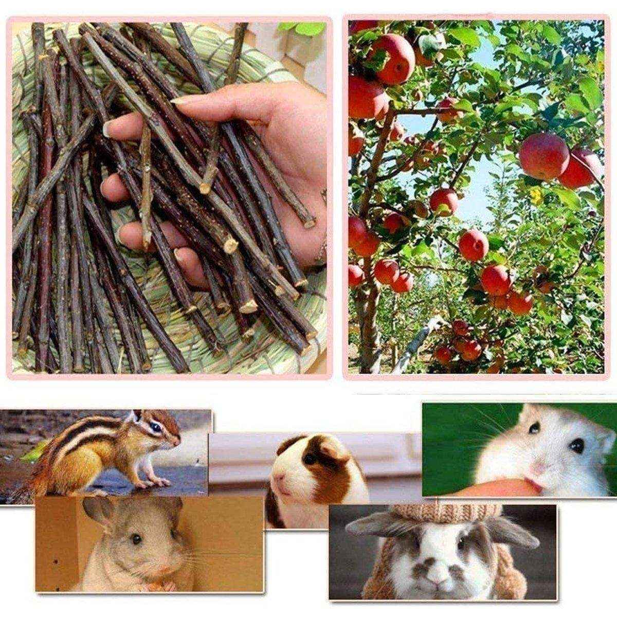 Natural Apple Sticks for Rabbits and Small Pet Chew Toy