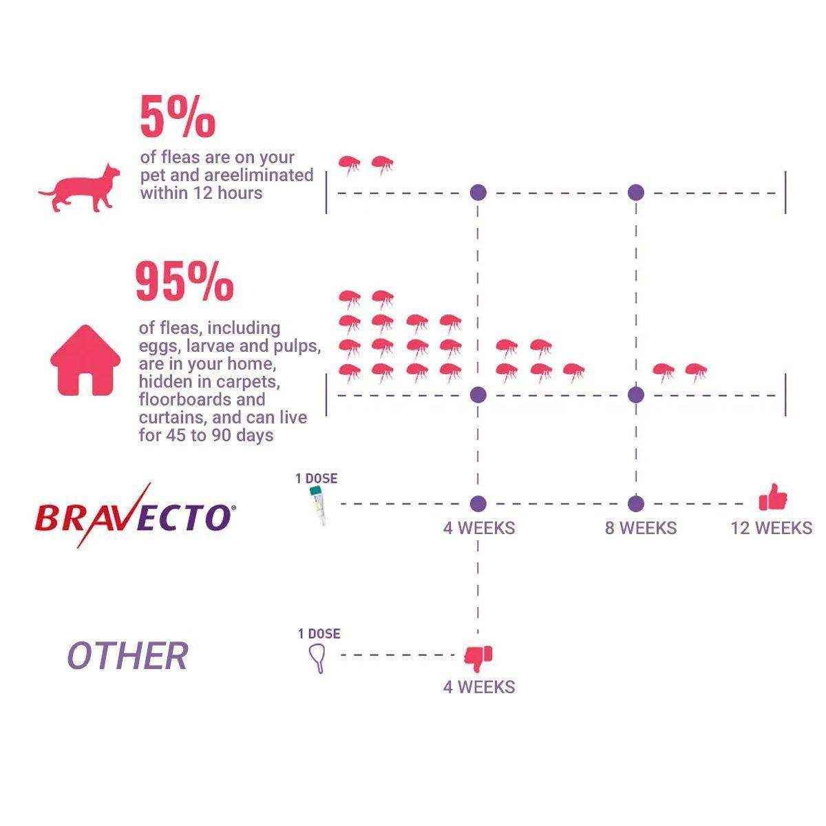 Bravecto Plus for Medium Cats 2.8-6.25KG Cats 3 Month 2 X PIP