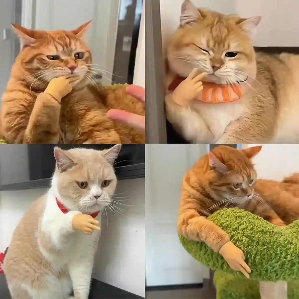 6PCS Cute Cat Finger Covers Soft Rubber Stretchy Mini Simulation Hands Fun Toy