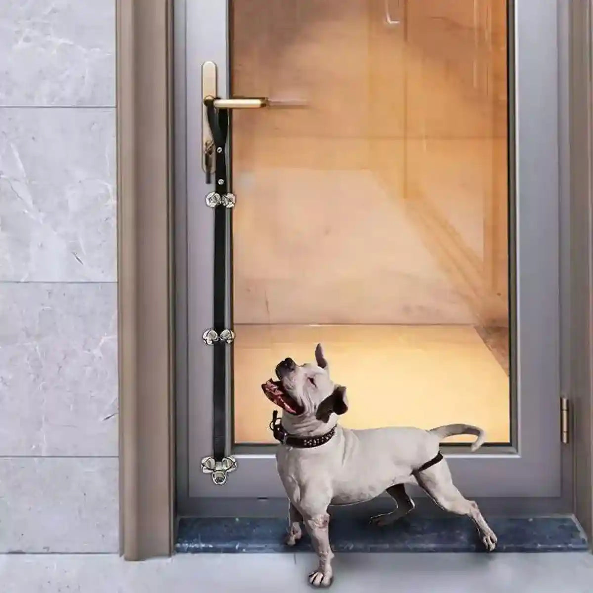 4PCS Pet Training Doorbell Rope Cat Teaser Toy Bell Interactive Play Rope Bell