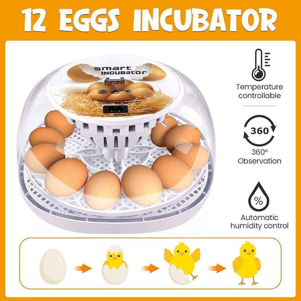 Compact Small Egg Incubator with Auto Turning for Chicken, Pigeon, and Quail Eggs