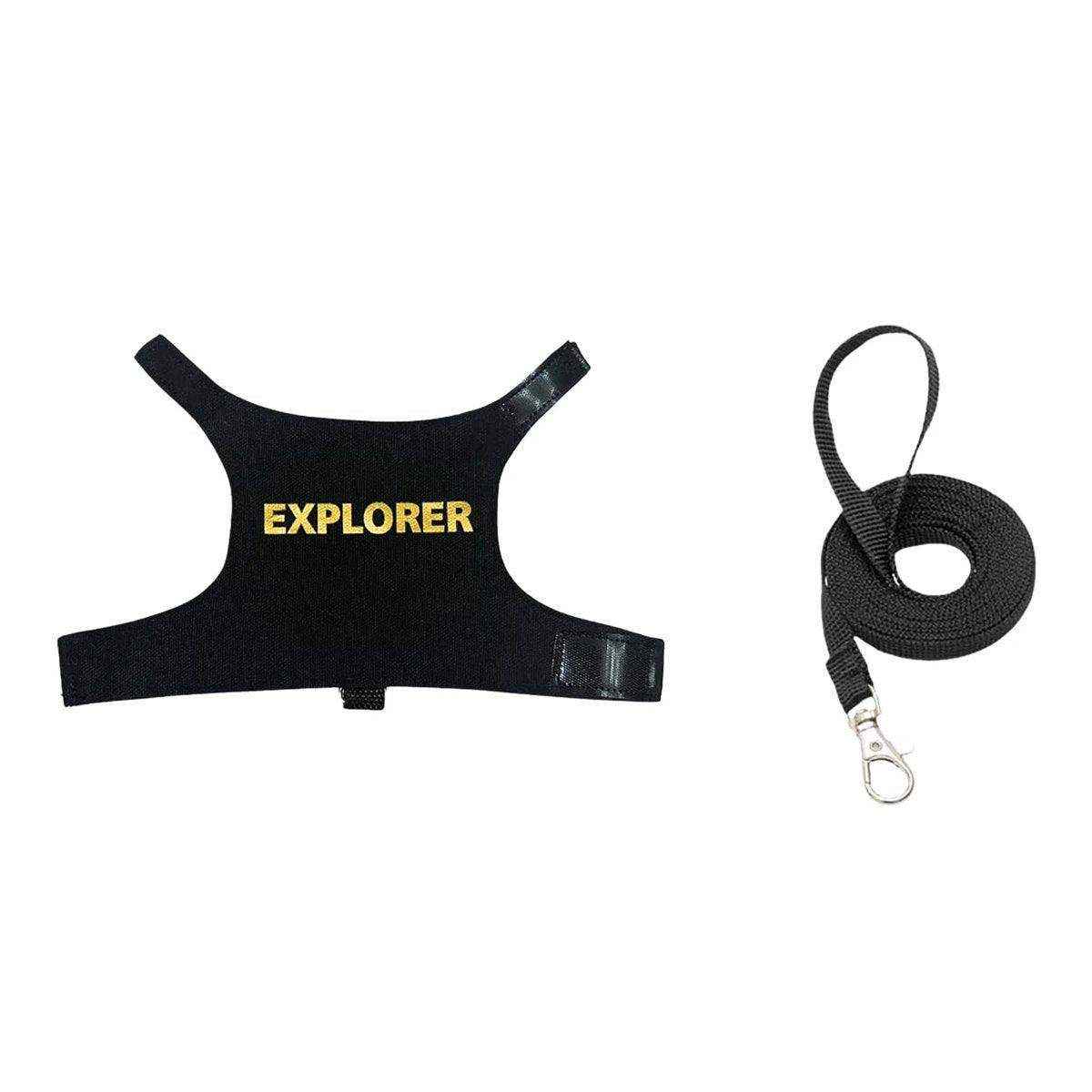 Lizard Leash Climbing Pet Out Chest Strap Chameleon Squirrel Leash