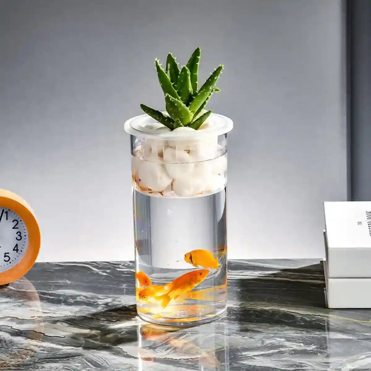 Modern Hydroponic Fish Tank with Cylindrical Design