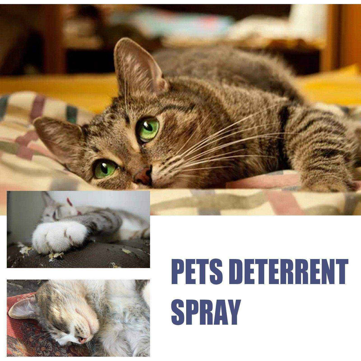 Pet Anti-Scratch Spray Protect Doors Sofas & Set Boundaries for Cats & Dogs