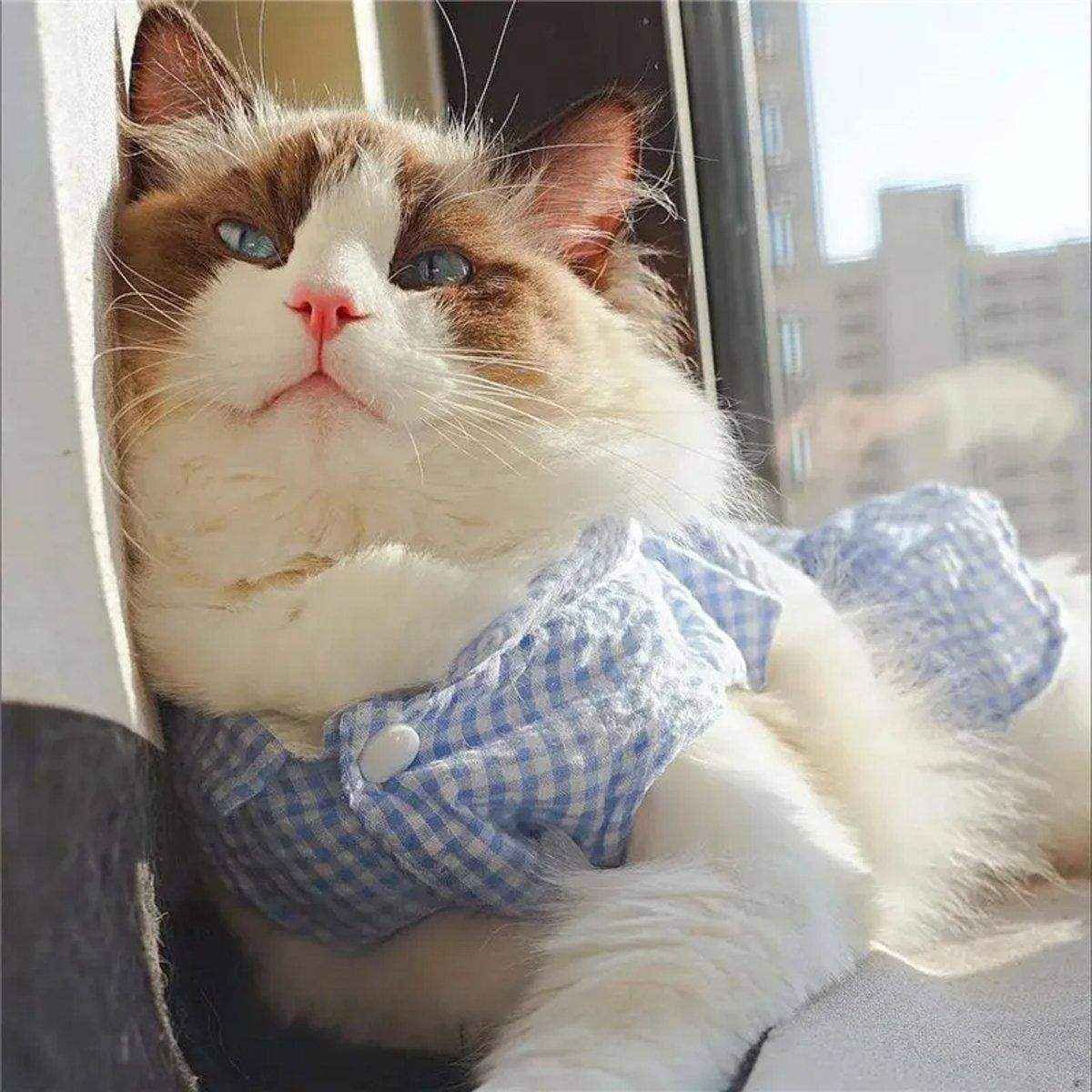 Cute Small Dog Dress Puppy Clothing Pet Apparel Fashion Outfit