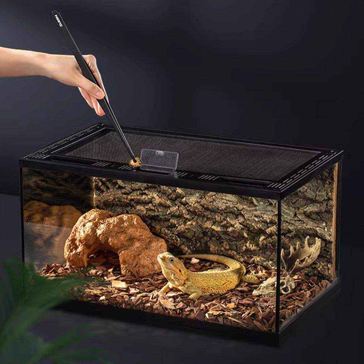 Pet Feeding Tweezers Set