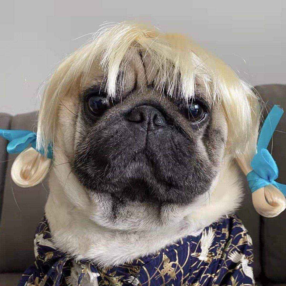 Stylish Funny Pet Wig With Bangs Fun and Comfortable