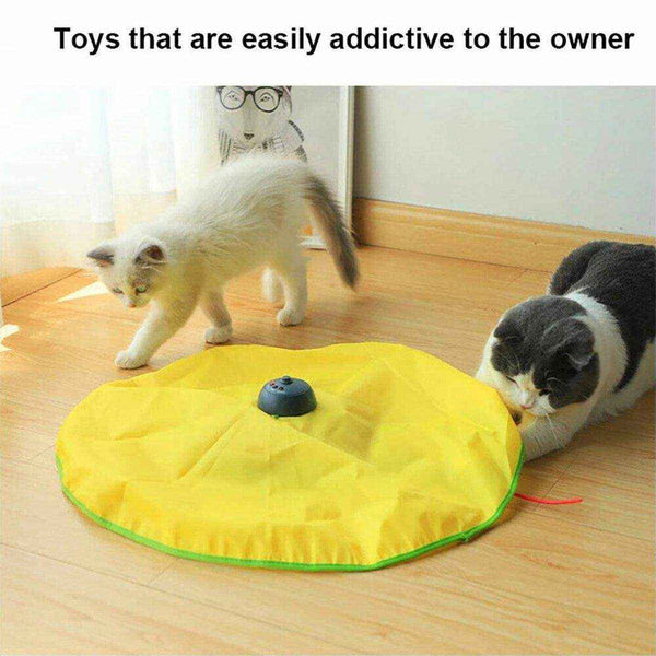 Image showcasing Engaging Interactive Cat Toy - Electronic Fun for Kittens | Petfection ...