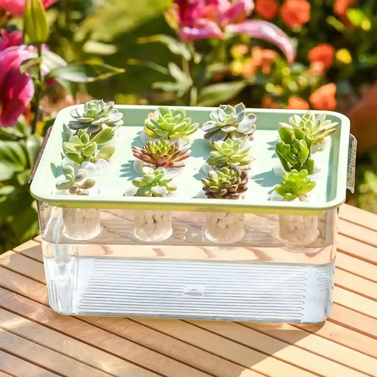 Transparent Rectangular Aquarium 12Hole Lid Portable Hydroponic Plant Fish Tank
