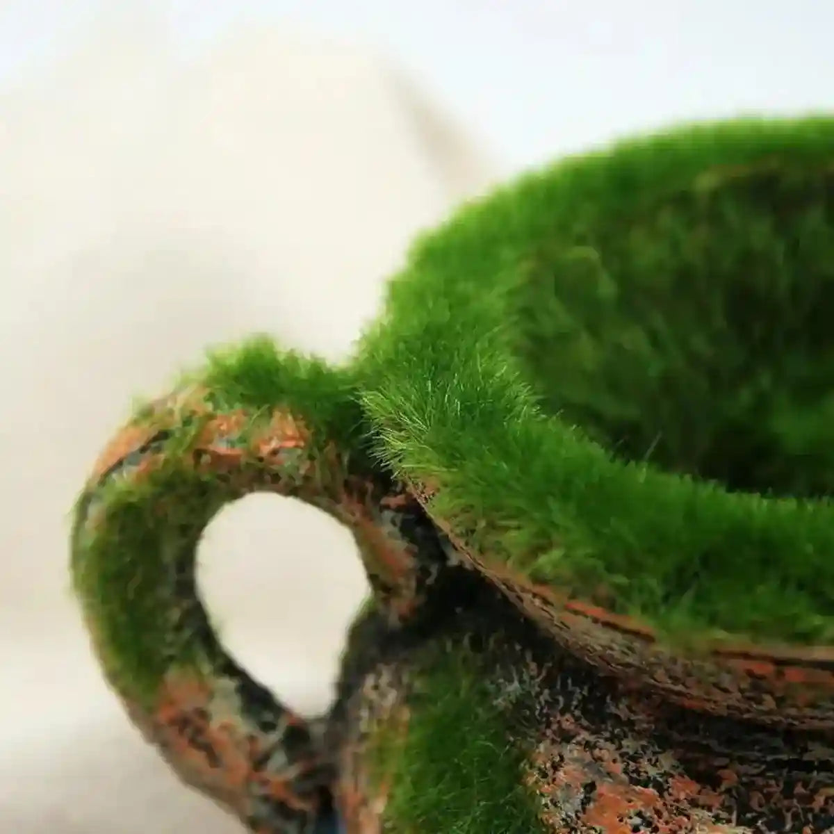 Aquarium Moss Vase Resin Fish & Shrimp Hiding Decoration