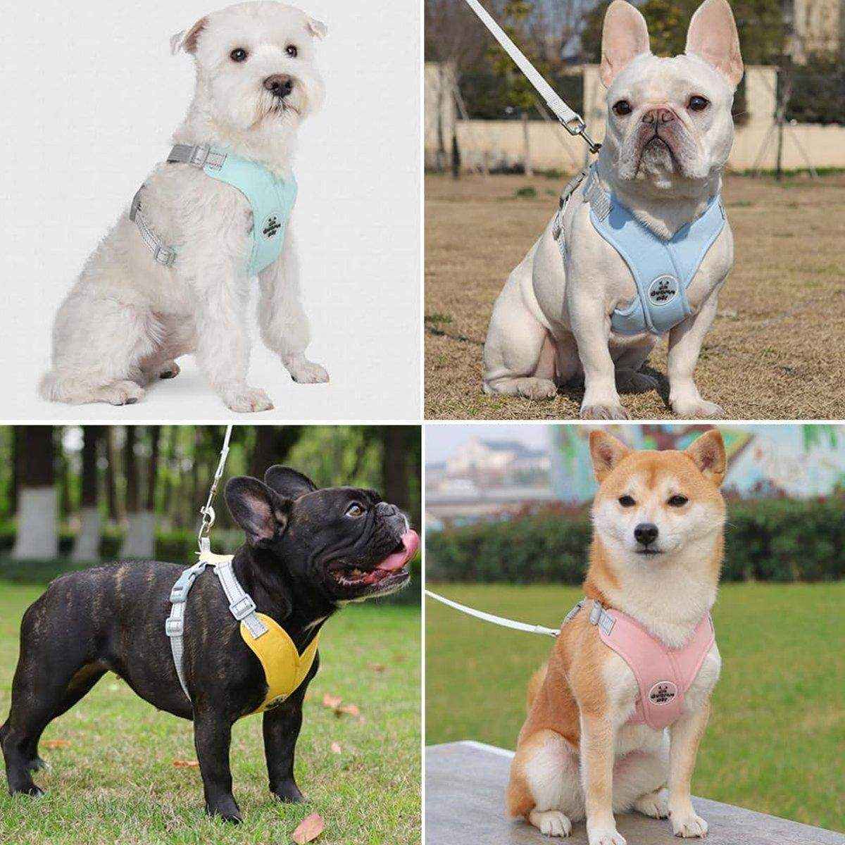 Adjustable Reflective Pet Harness and Leash Set for Small to Large Pets