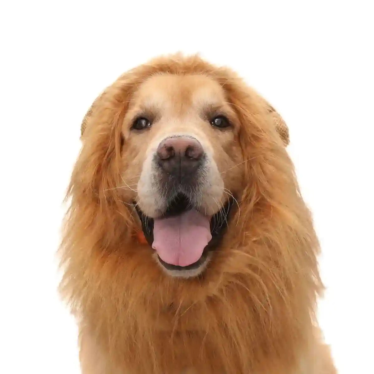 Lion Costume Mane Wig Large Dog Fancy Dress Up Party for Pet Halloween Clothes