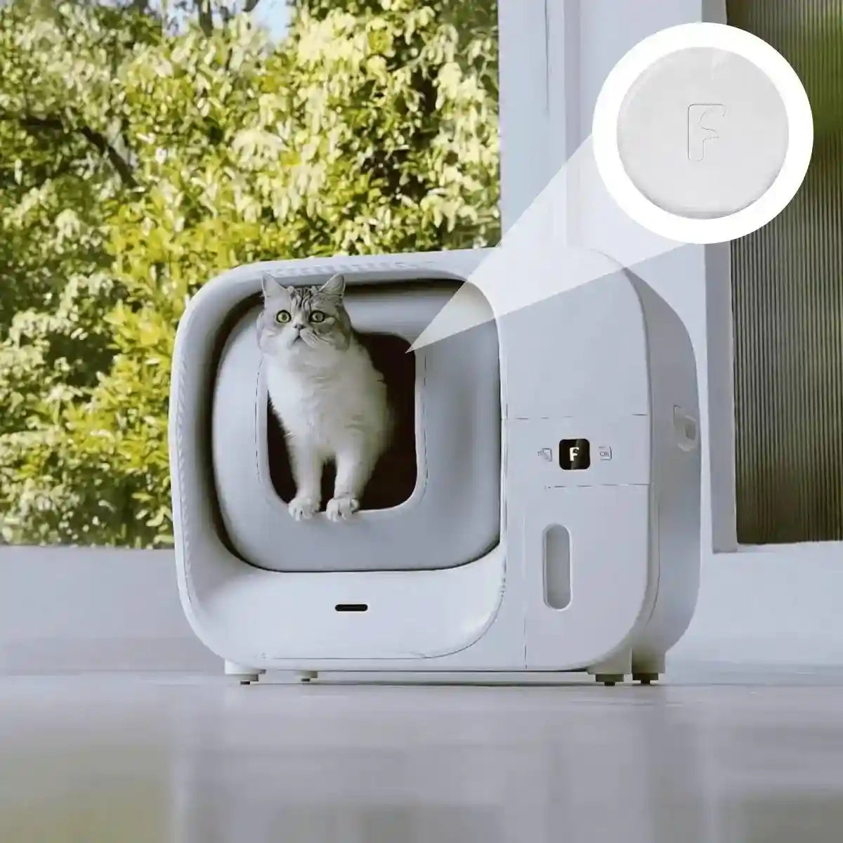 Furbulous 3 Piece Deodorant Bar Pet Odor Eliminator Natural and Long-Lasting Freshness