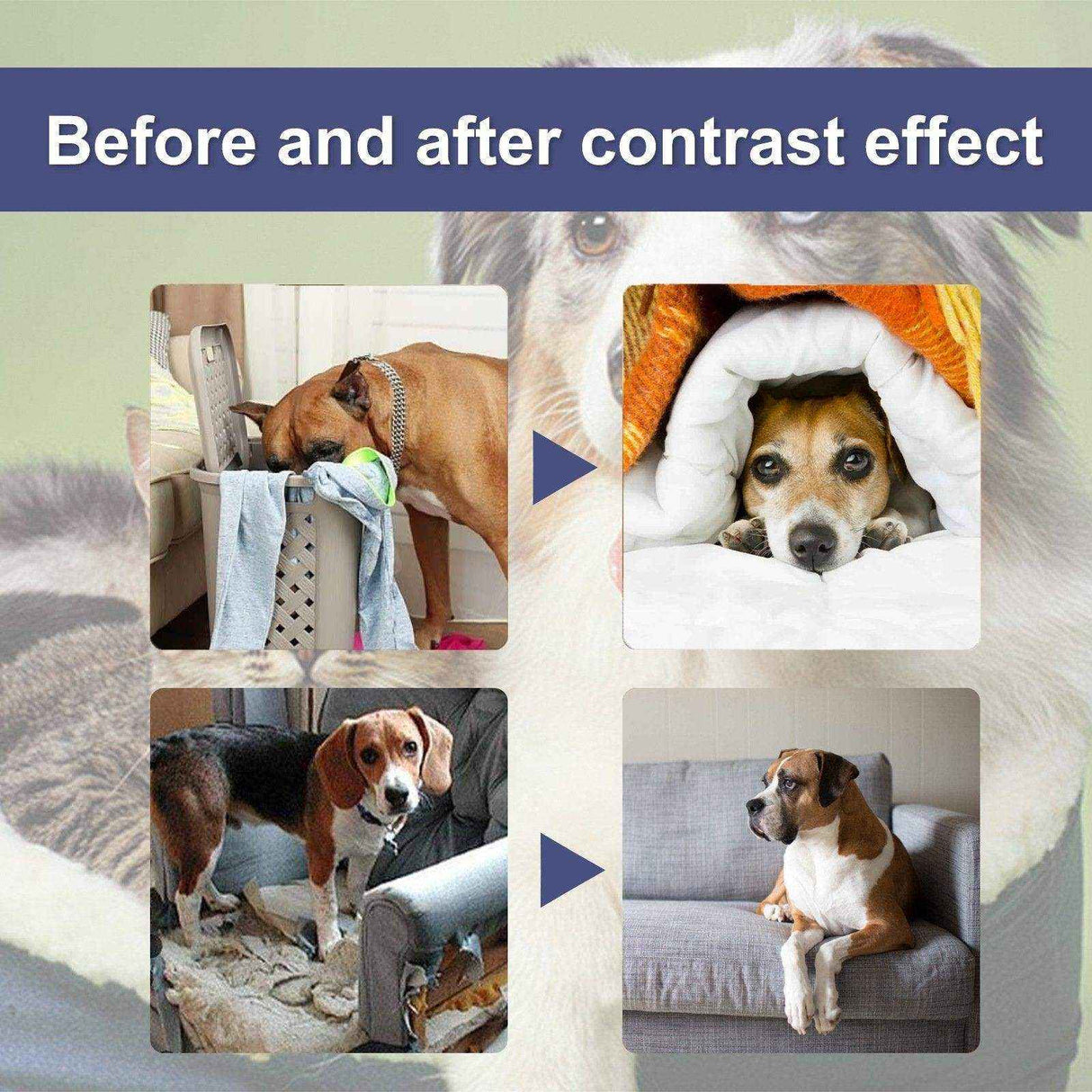 Pet Bitter Anti-Bite Spray Expulsion Dog Chewing Table And Chair Leg Scratching Sofa Spray