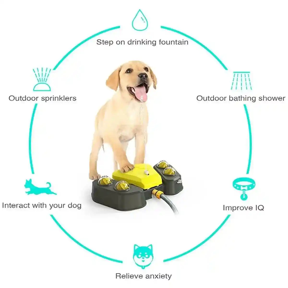 Interactive Dog Water Spray Toy Outdoor Pet Fountain & Sprinkler System