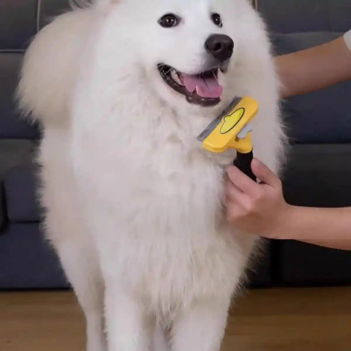 Pet Hair Removal Comb Cat Comb Dog Hair Removal Brush