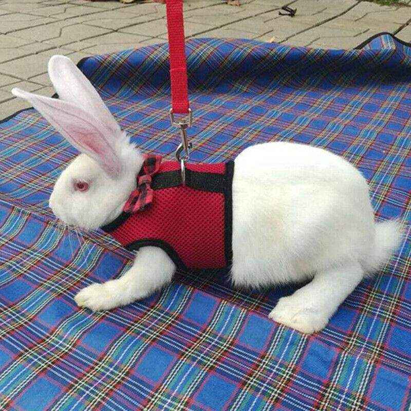 Adjustable Mesh Rabbit Harness with Leash for Small Pets