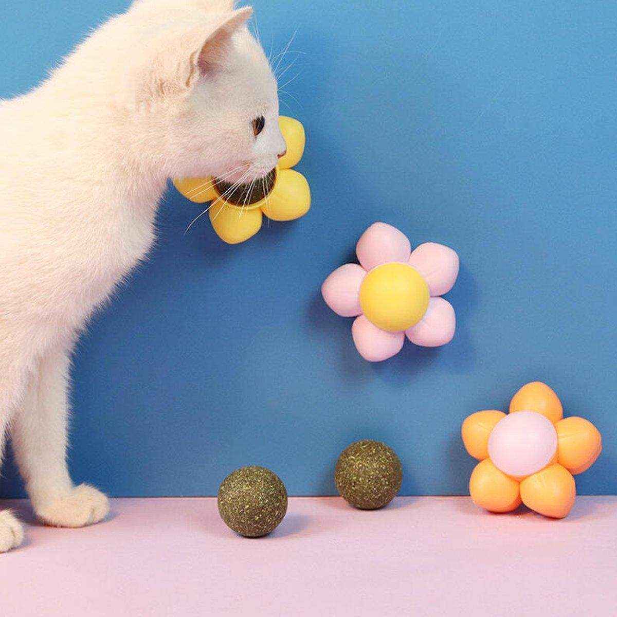 Catnip Ball Cat Toy Rotating Mint Ball Toy