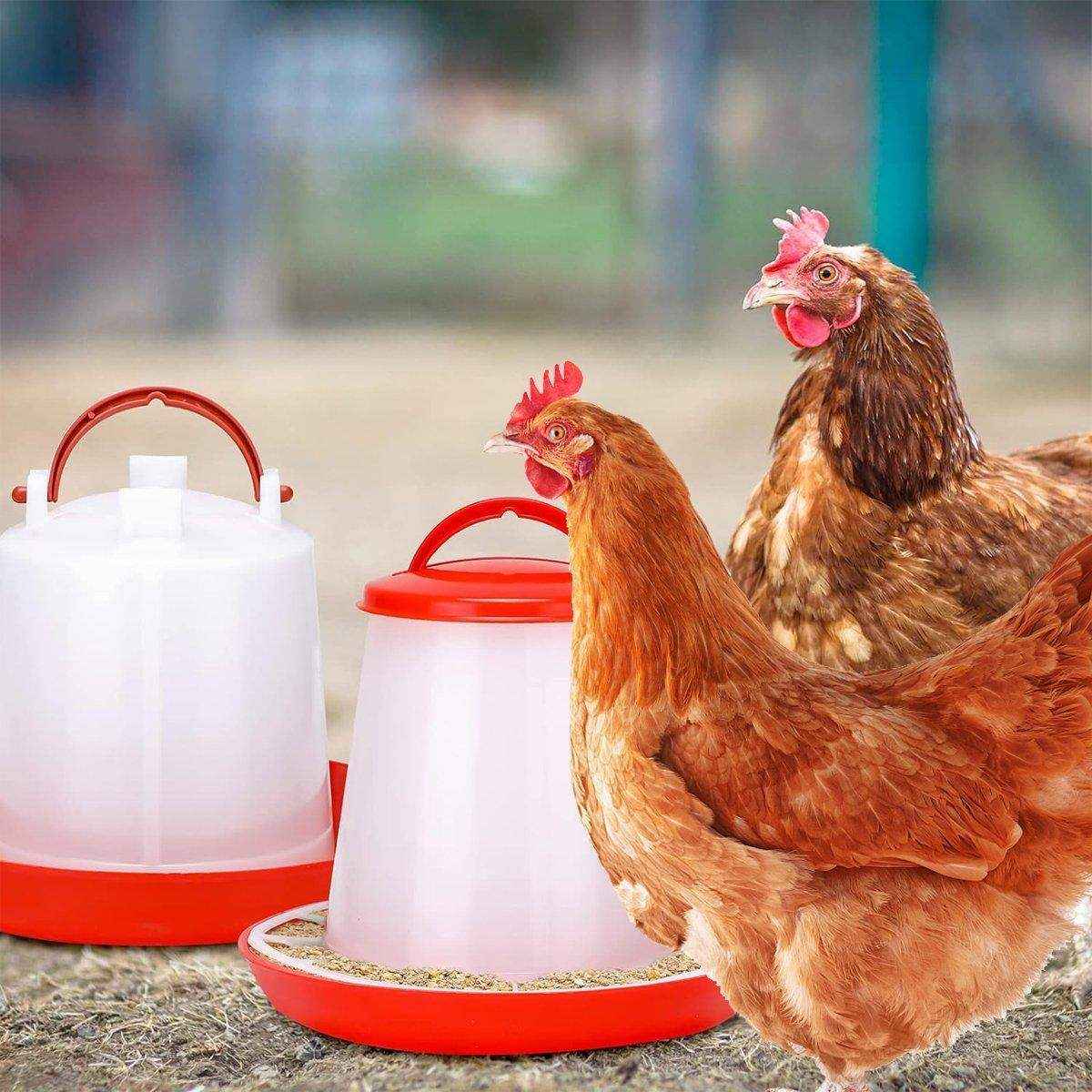 Efficient Poultry Feeding Set with Automatic Chicken Feeder & Drinker