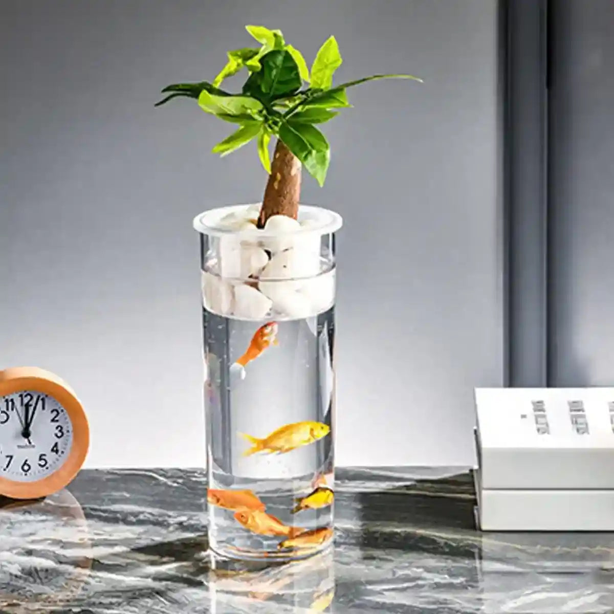 Modern Hydroponic Fish Tank with Cylindrical Design