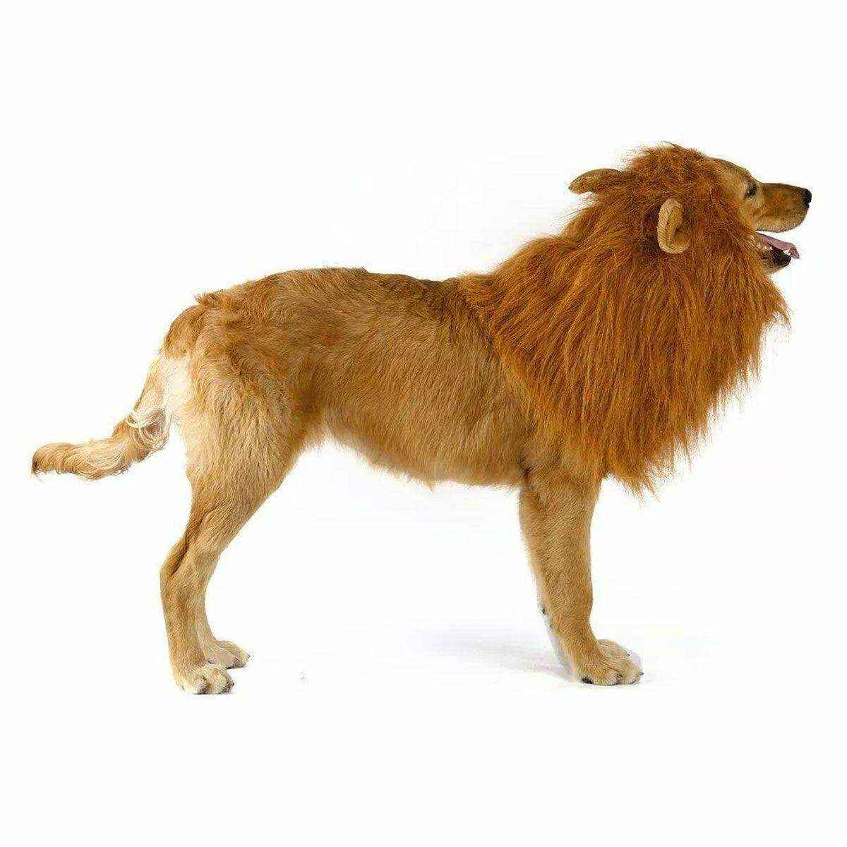 Lion Costume Mane Wig Large Dog Fancy Dress Up Party for Pet Halloween Clothes