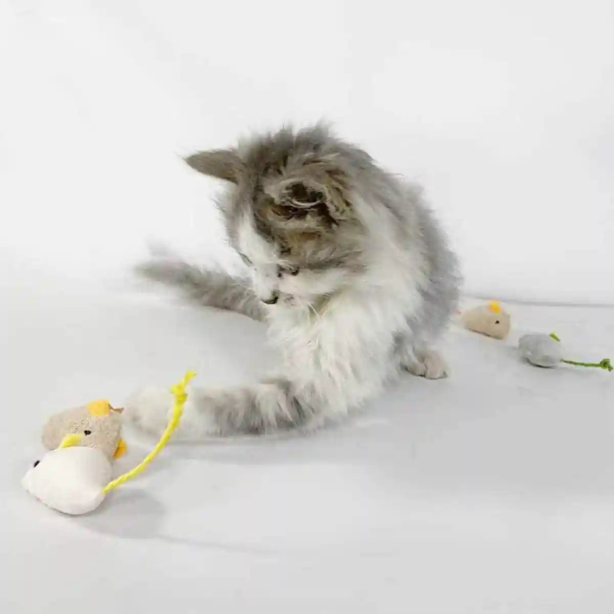 Plush Simulation Catnip Mouse Cat Toy Scratch-Resistant Molar Fun Toy