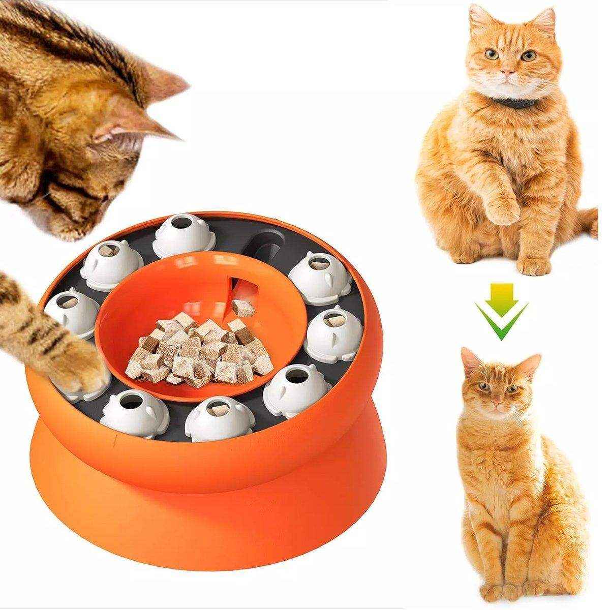 Interactive Slow Feeder Bowl Hidden Food Toy for Cats and Dogs Promotes Healthy Eating