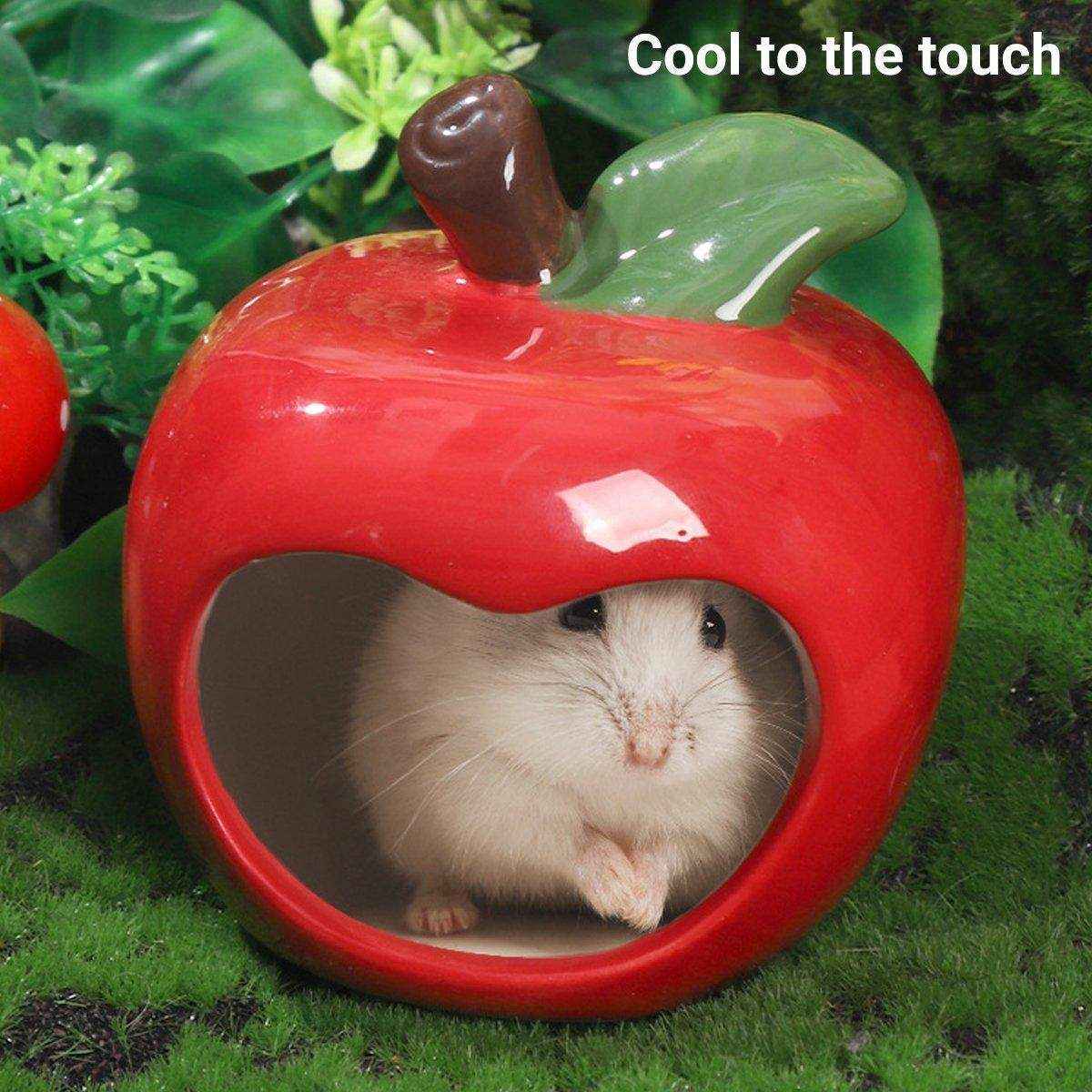 Ceramic Hamster Nest Shelter Landscaping Supplies Small Animal Hideout House