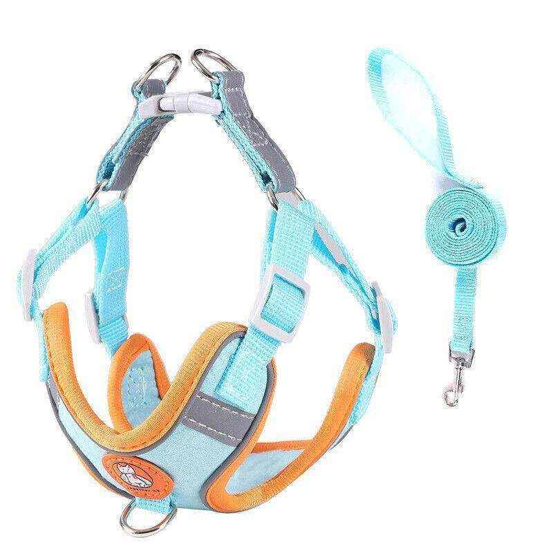 Soft Reflective Dog Vest Harness with Leash for Safe Walks