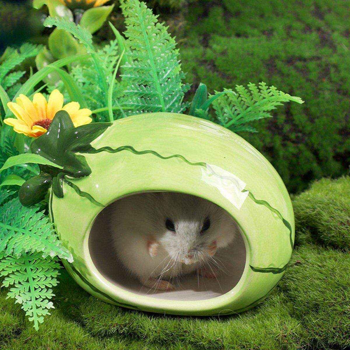 Ceramic Hamster Nest Shelter Landscaping Supplies Small Animal Hideout House