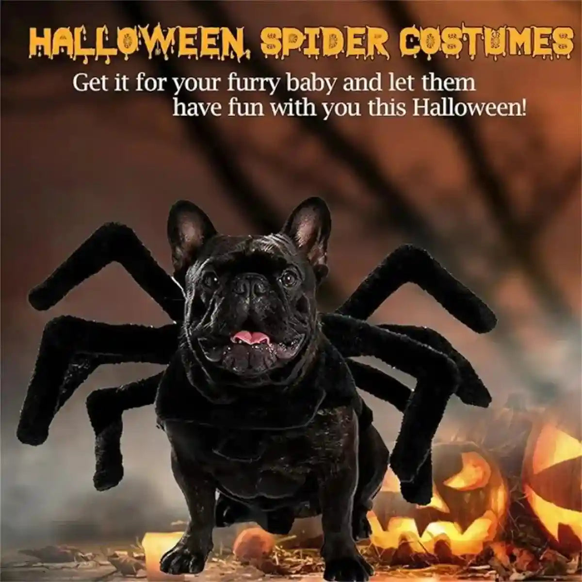 Halloween Pet Spider Costume Creepy & Cute Halloween Outfit for Pets