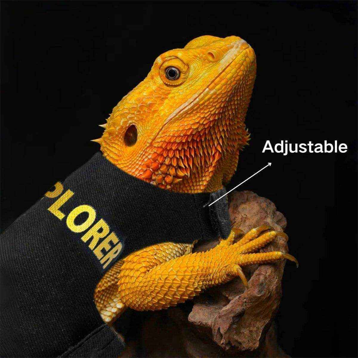 Lizard Leash Climbing Pet Out Chest Strap Chameleon Squirrel Leash