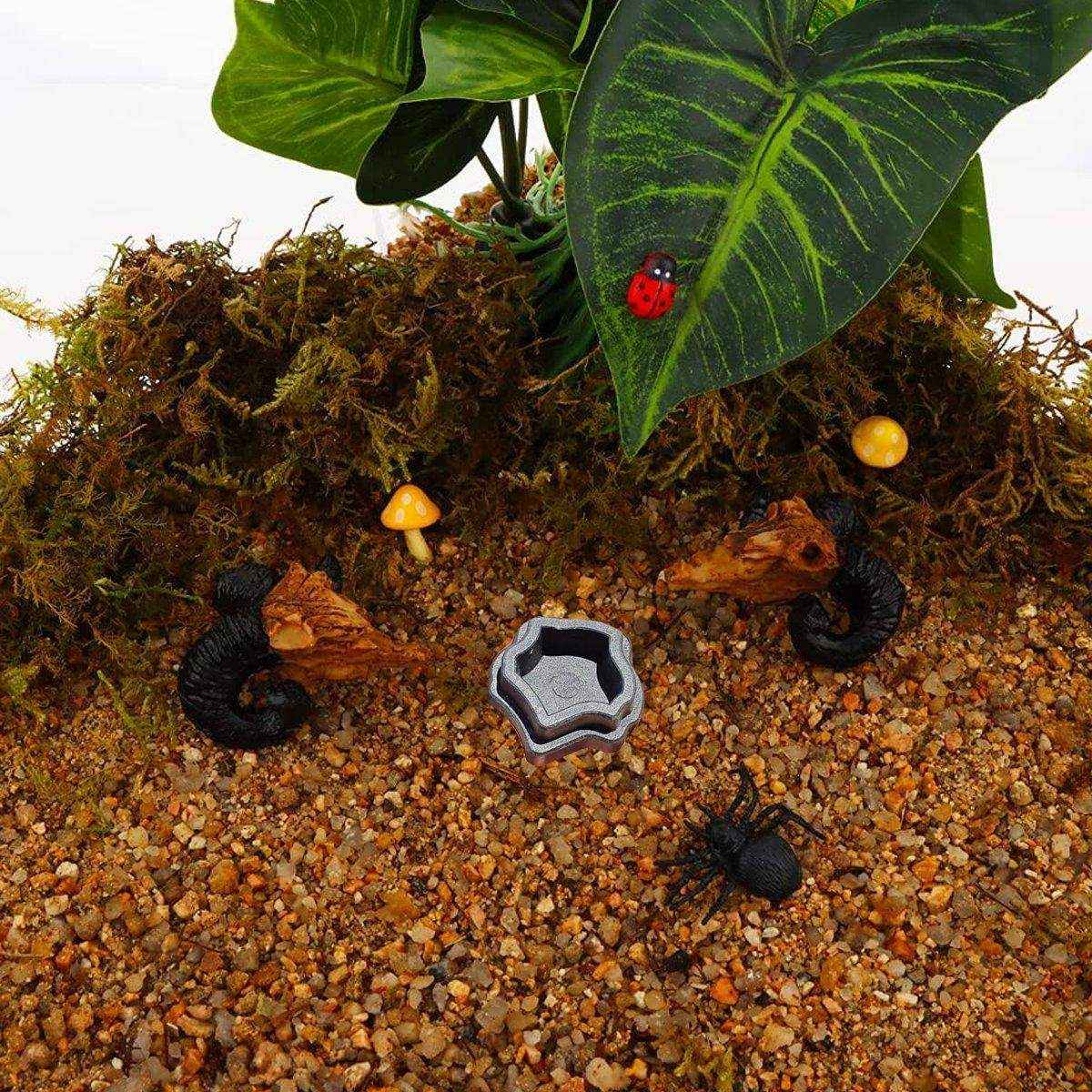 10pcs Reptile Spider Water Basin Resin Bowls Small Pet Feeder Reptile Water Sink