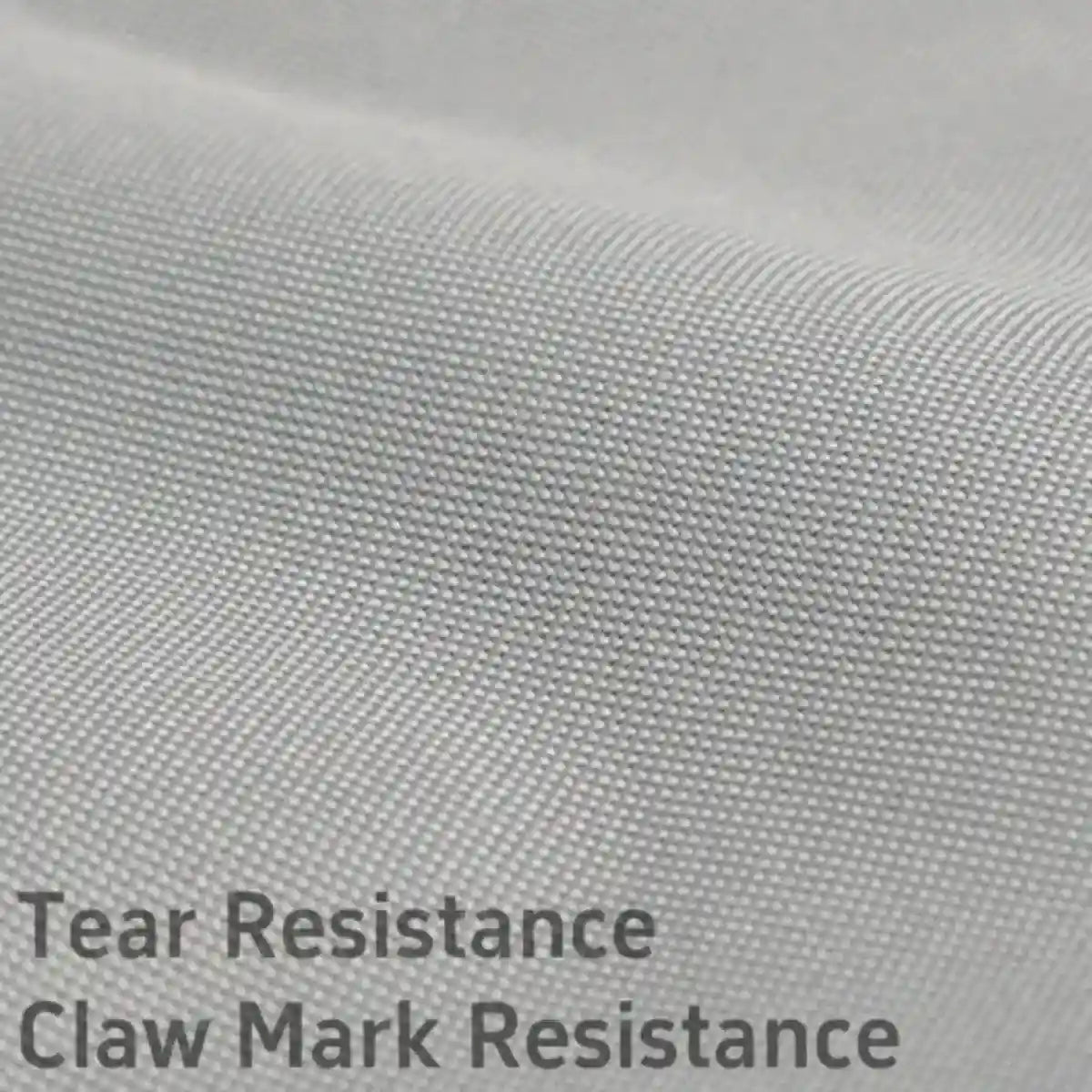 Foldable Pet Bed Portable Round Elevated Little Dog Bed Pet Moon Bed