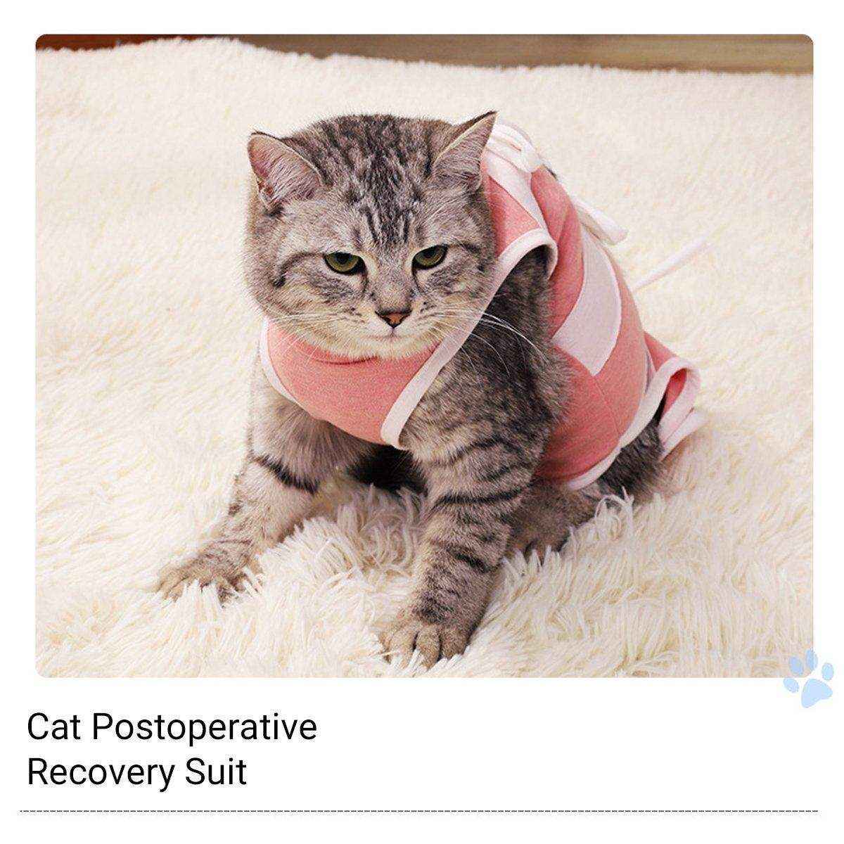 Breathable Anti-Slip Anti-Scratch Pet Neutering Recovery Suit for Cats and Dogs