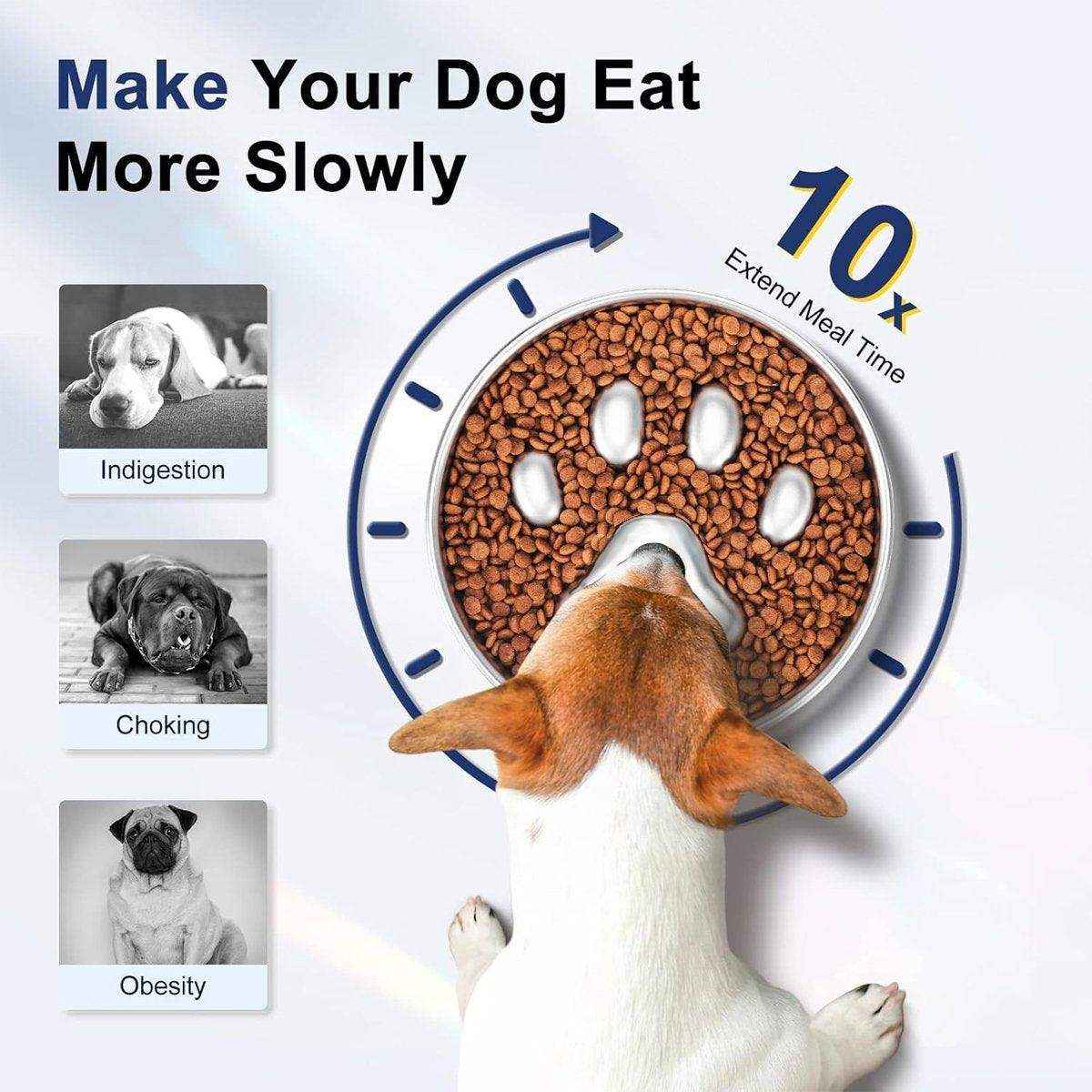 Durable Stainless Steel Slow Feeder Dog Bowl Anti-Bloat & Healthy Eating