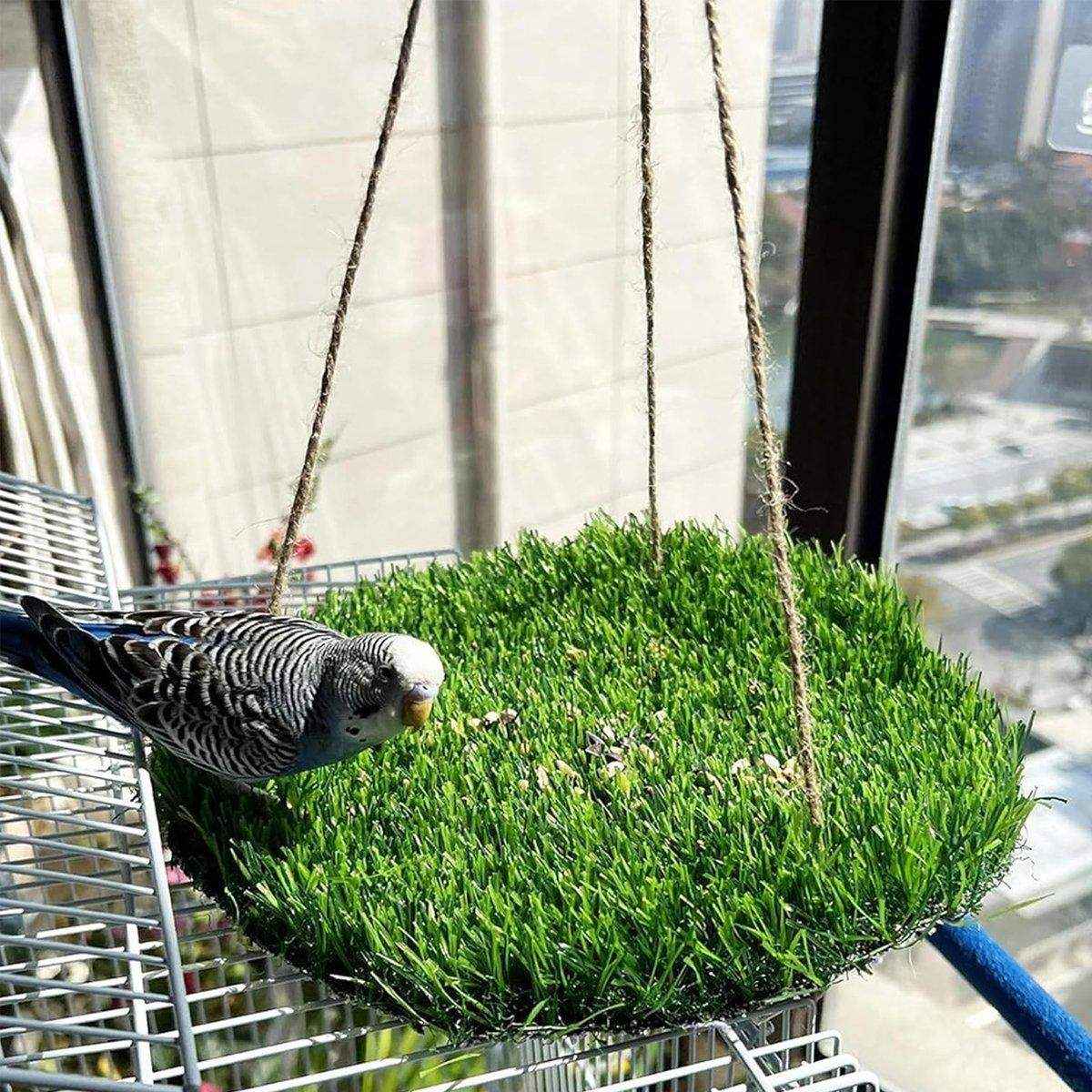 Pet Turf Hammock Ideal for Parrots Hamsters & Squirrels
