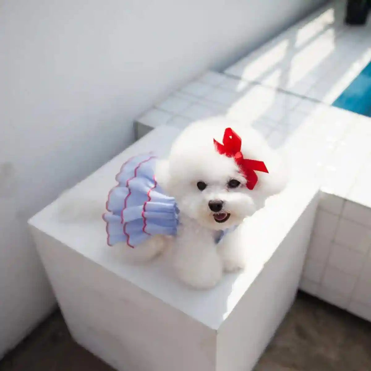 Summer Pet Princess Skirt Cat Dog Dress