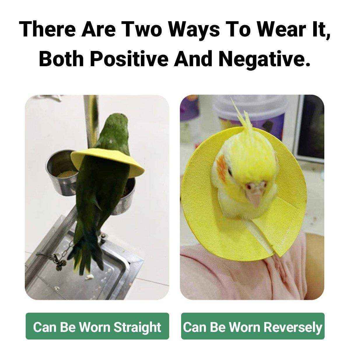 Parrot Bird Elizabeth Circle Anti-biting Hair Picking Hair Injury Protection