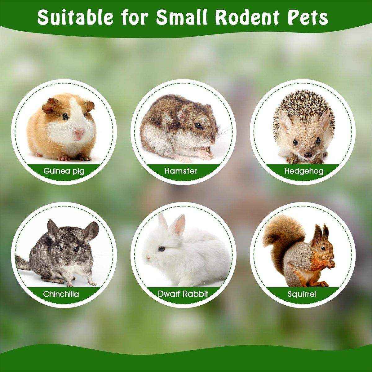 Natural Apple Sticks for Rabbits and Small Pet Chew Toy