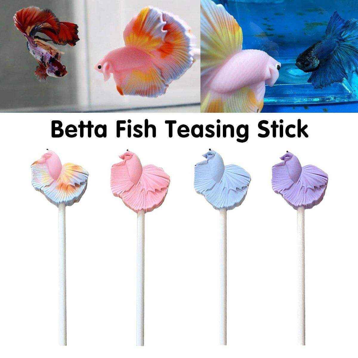 Fish Stick Training Pen Fish Interactive Toy