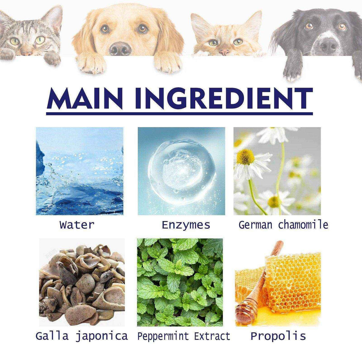 Enzyme-Based Pet Toothpaste for Fresh Breath & Healthy Gums